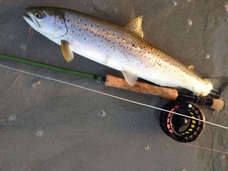 9' Sage TCX # 6 with Guideline Costal Intermediate shootinghead 16g and 50+ seatrout